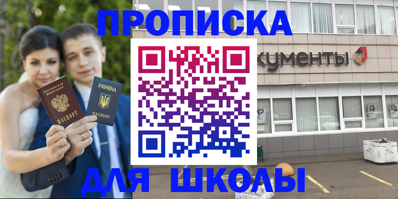 временная регистрация госуслуги в Никольском